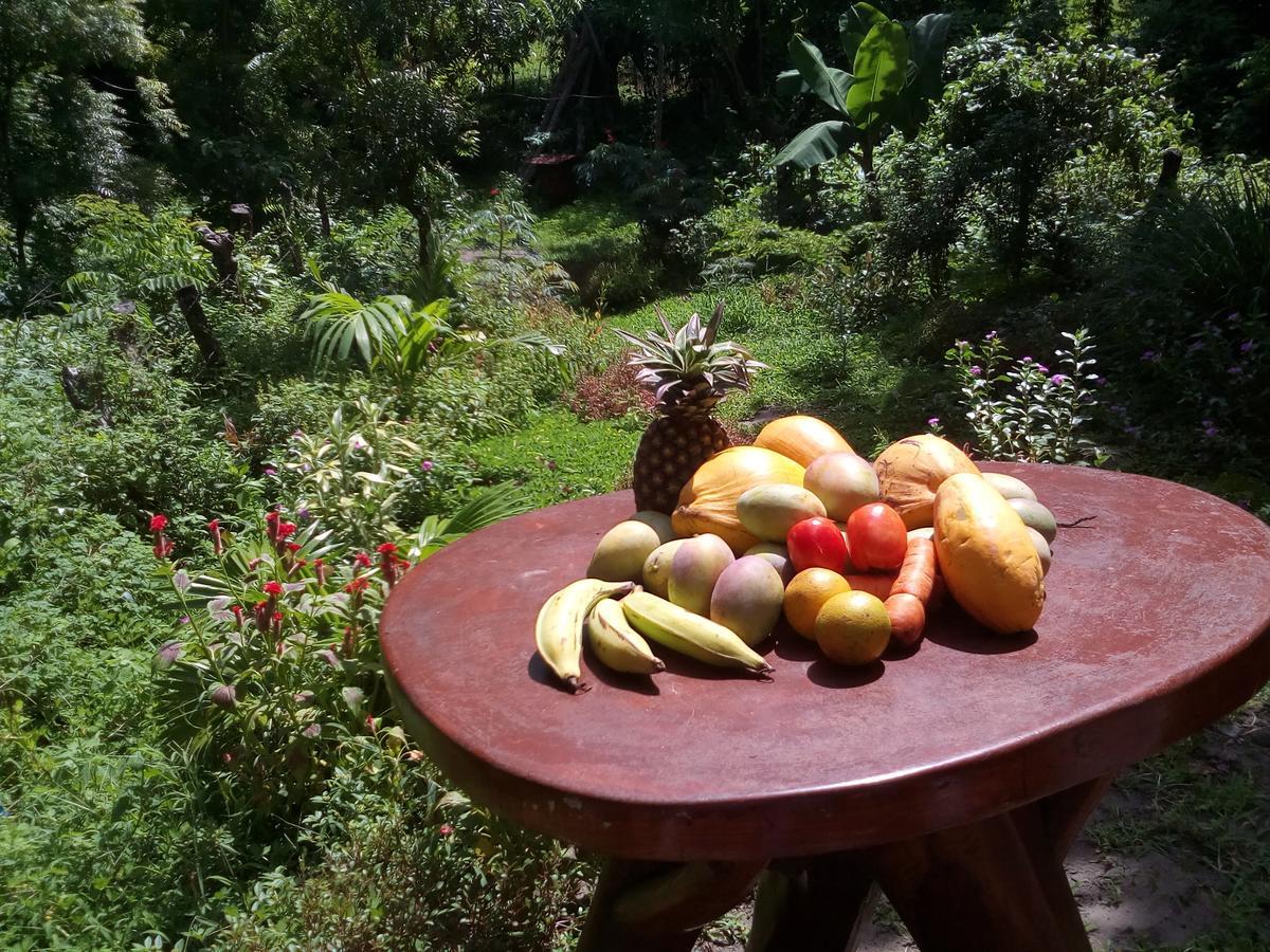 Beach Cabin Ometepe Altagracia Exterior foto